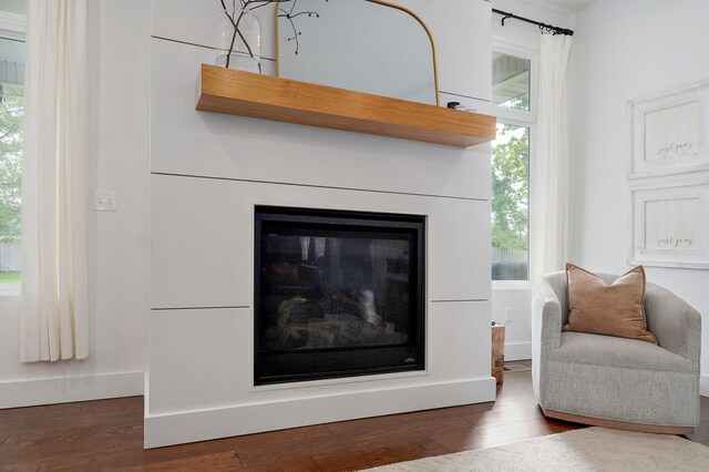 735 N Fox Hill Cir, Nixa, MO 65714 - detailed view of a glass covered fireplace and wood finished floors