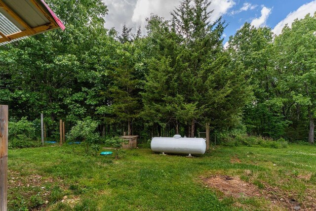 620 Dartmoore Dr, Rogersville, MO 65742 - view of green lawn