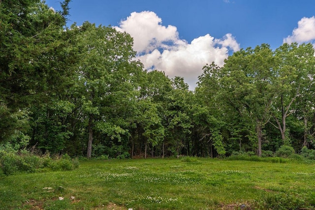 620 Dartmoore Dr, Rogersville, MO 65742 - view of tree filled area