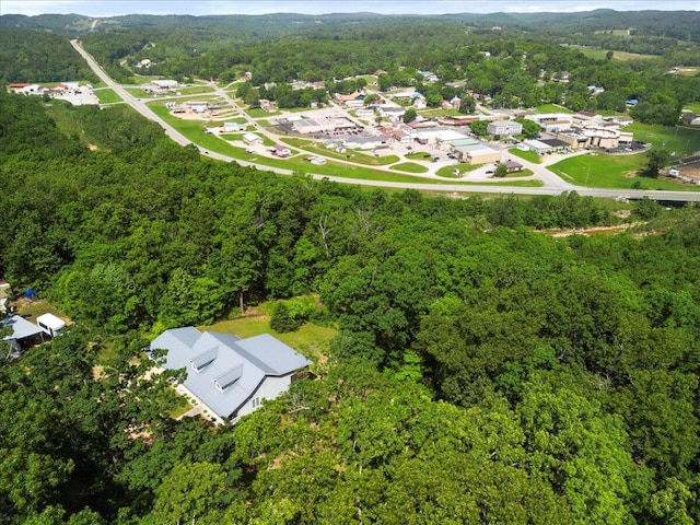 657 Plentywood Ln, Gainesville, MO 65655 - bird's eye view of a forest