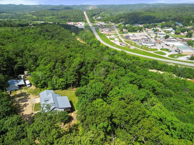657 Plentywood Ln, Gainesville, MO 65655 - bird's eye view of a forest