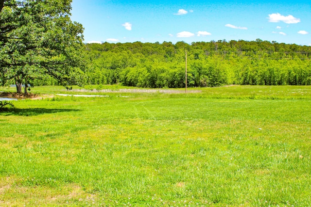 821 NW B Hwy, Osceola, MO 64776 - view of yard featuring a forest view