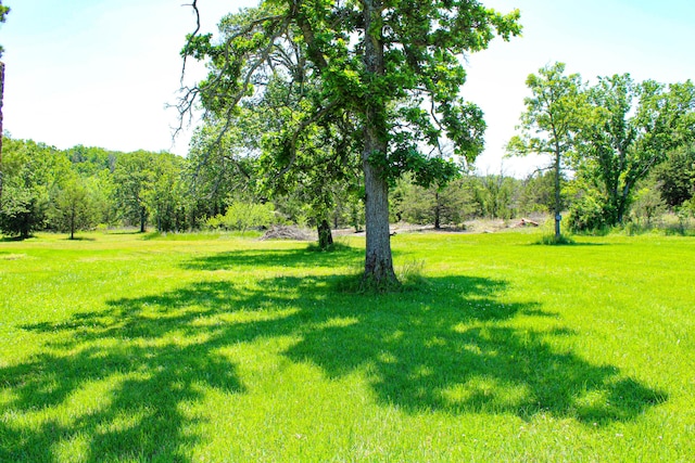 821 NW B Hwy, Osceola, MO 64776 - view of grassy yard