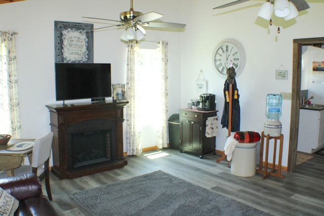 821 NW B Hwy, Osceola, MO 64776 - living room with ceiling fan, wood finished floors, and a fireplace
