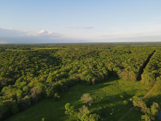 821 NW B Hwy, Osceola, MO 64776 - aerial view of property's location with a forest