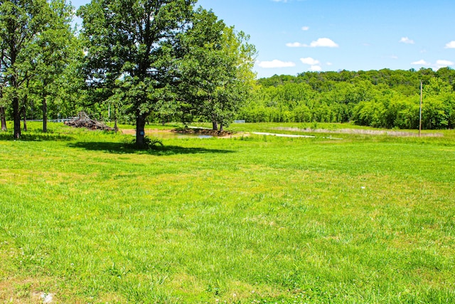 821 NW B Hwy, Osceola, MO 64776 - view of grassy yard