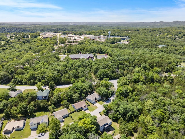 485 Eagle Dr, Forsyth, MO 65653 - aerial view of a forest