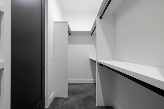 13213 State Highway M, Billings, MO 65610 - walk in closet with dark colored carpet
