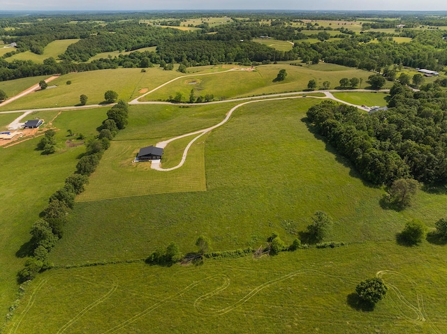 13213 State Highway M, Billings, MO 65610 - aerial view of sparsely populated area