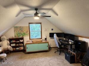 411 N Main St, Diamond, MO 64840 - carpeted home office with a ceiling fan and vaulted ceiling