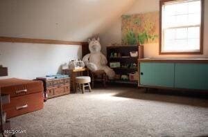 411 N Main St, Diamond, MO 64840 - additional living space with vaulted ceiling and carpet floors