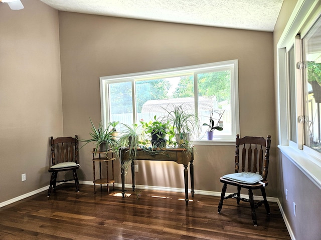 512 E Slim Wilson Blvd, Nixa, MO 65714 - living area with wood finished floors, lofted ceiling, and baseboards