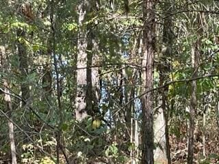 2382 Minnow Dr, Omaha, AR 72662 - view of undeveloped land