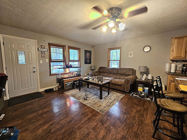 22182 County Road 288, Pittsburg, MO 65724 - living room with a ceiling fan, dark wood-type flooring, plenty of natural light, and a textured ceiling