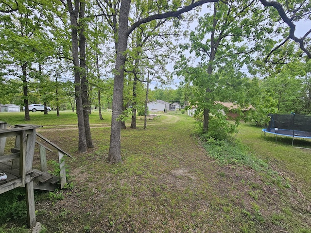 22182 County Road 288, Pittsburg, MO 65724 - view of green lawn with a trampoline