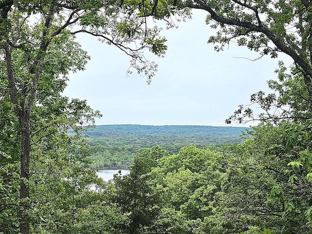 22182 County Road 288, Pittsburg, MO 65724 - view of mountain background with a heavily wooded area and a nearby body of water