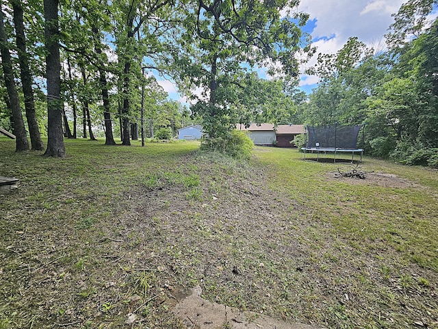 22182 County Road 288, Pittsburg, MO 65724 - view of green lawn featuring a trampoline