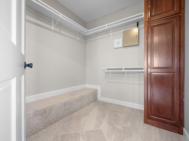 8863 Serene Acres Ln, Rogersville, MO 65742 - walk in closet featuring carpet
