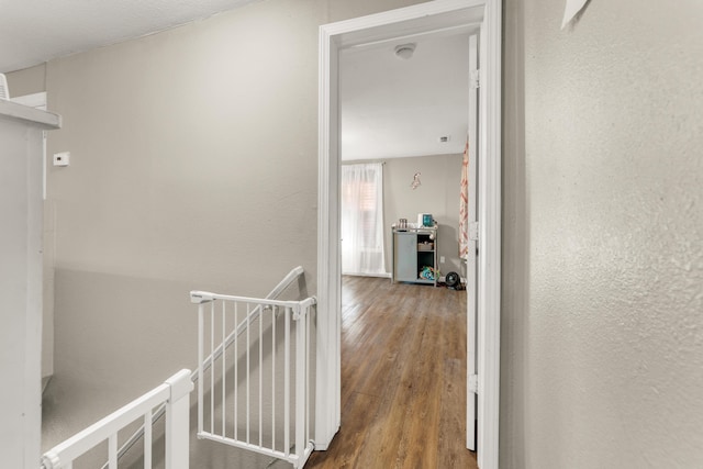 1117 W Lynn St, Springfield, MO 65802 - photo 25