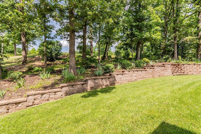 903 Silver Bluff Cir, Branson West, MO 65737 - view of grassy yard