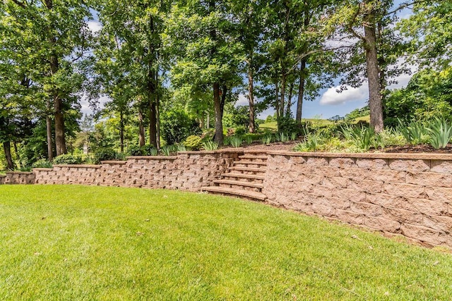 903 Silver Bluff Cir, Branson West, MO 65737 - view of green lawn