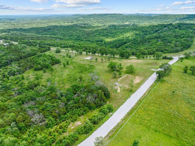 110 Stage Coach Rd, Kirbyville, MO 65679 - photo 4