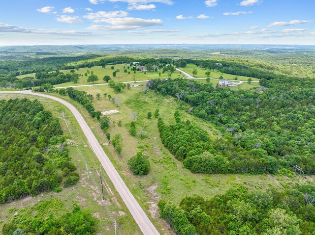 110 Stage Coach Rd, Kirbyville, MO 65679 - photo 7
