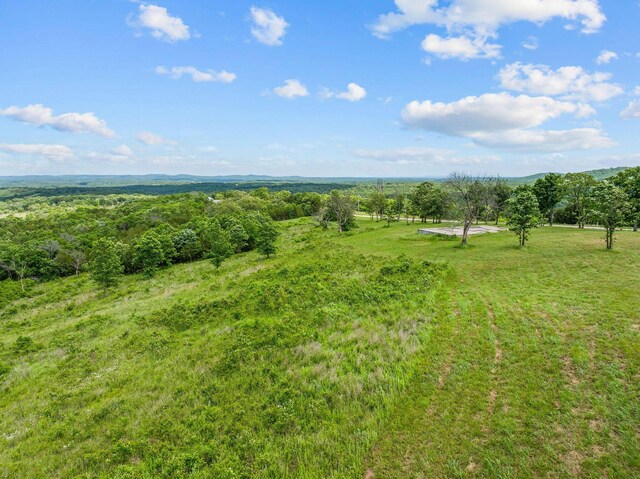 110 Stage Coach Rd, Kirbyville, MO 65679 - photo 21