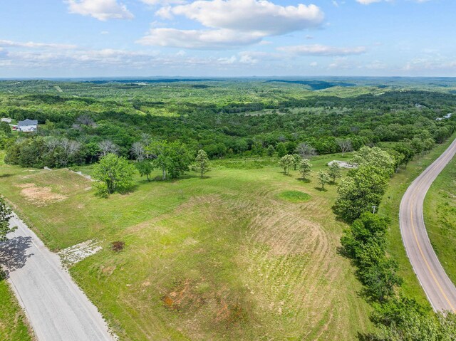 110 Stage Coach Rd, Kirbyville, MO 65679 - photo 14