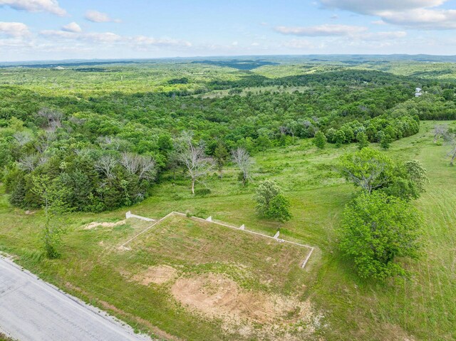 110 Stage Coach Rd, Kirbyville, MO 65679 - photo 13