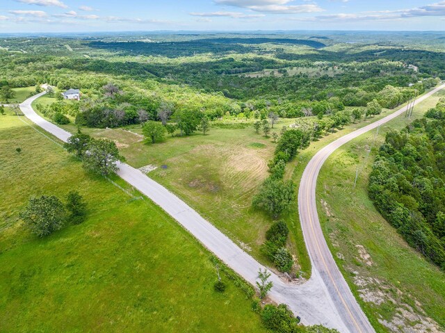 110 Stage Coach Rd, Kirbyville, MO 65679 - photo 1