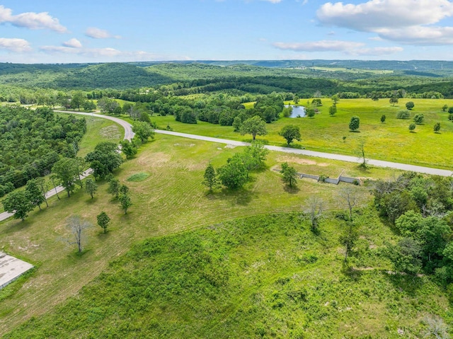 110 Stage Coach Rd, Kirbyville, MO 65679 - photo 24