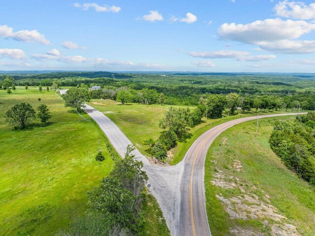 110 Stage Coach Rd, Kirbyville, MO 65679 - photo 25