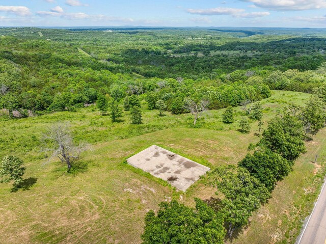 110 Stage Coach Rd, Kirbyville, MO 65679 - photo 16