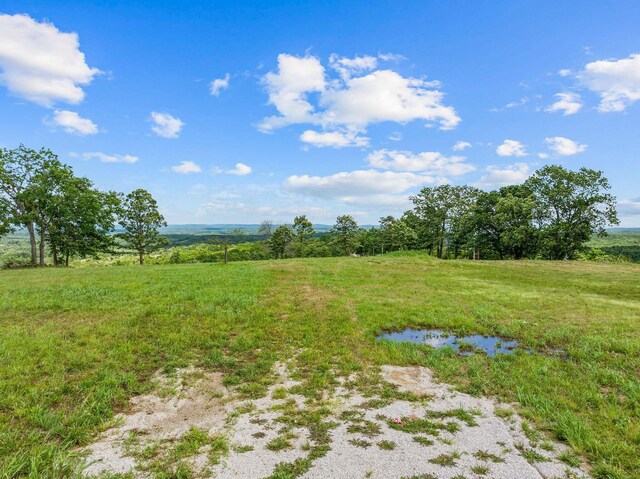 110 Stage Coach Rd, Kirbyville, MO 65679 - photo 20