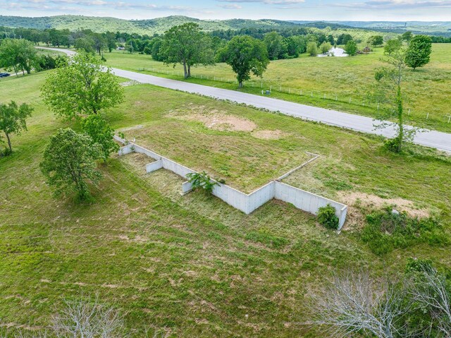 110 Stage Coach Rd, Kirbyville, MO 65679 - photo 11