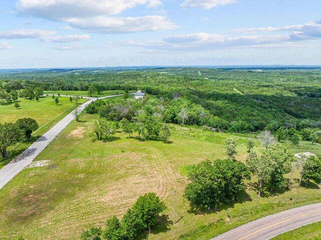 110 Stage Coach Rd, Kirbyville, MO 65679 - photo 15