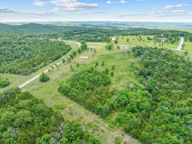 110 Stage Coach Rd, Kirbyville, MO 65679 - photo 6