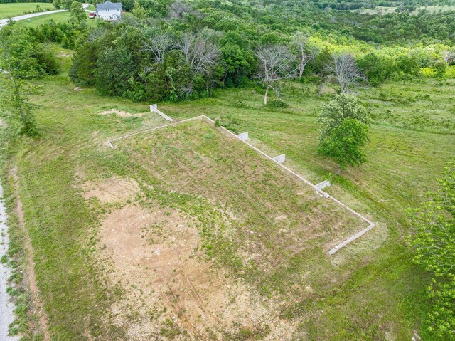 110 Stage Coach Rd, Kirbyville, MO 65679 - photo 10