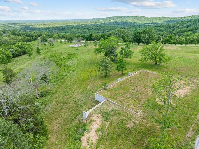 110 Stage Coach Rd, Kirbyville, MO 65679 - photo 12