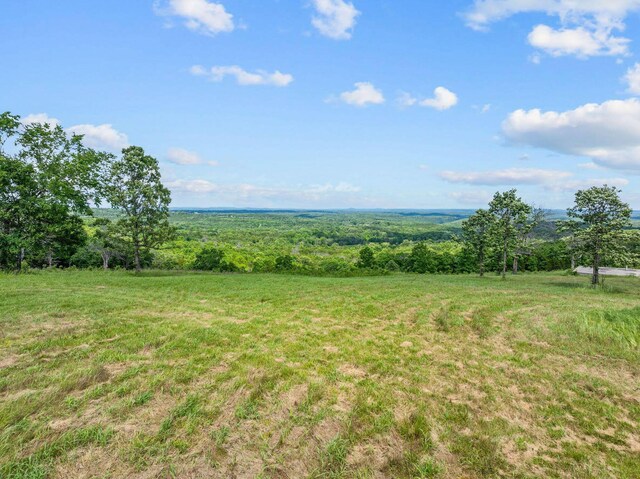 110 Stage Coach Rd, Kirbyville, MO 65679 - photo 17