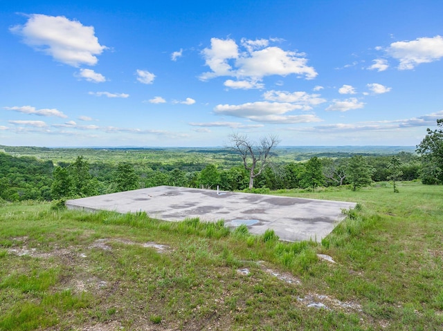 110 Stage Coach Rd, Kirbyville, MO 65679 - photo 9