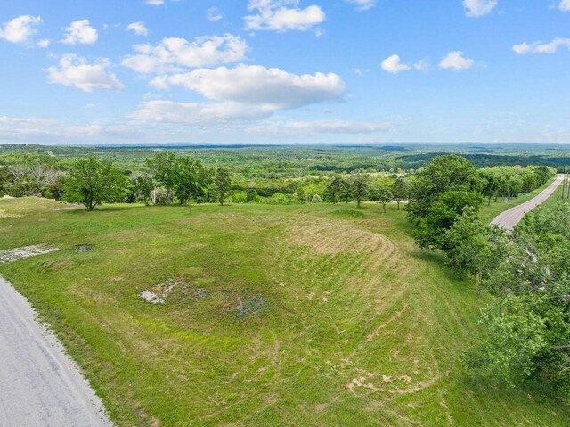 110 Stage Coach Rd, Kirbyville, MO 65679 - photo 19
