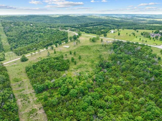 110 Stage Coach Rd, Kirbyville, MO 65679 - photo 5