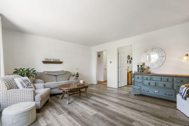 305 Cliff Dr, Branson, MO 65616 - living room featuring light wood-style floors