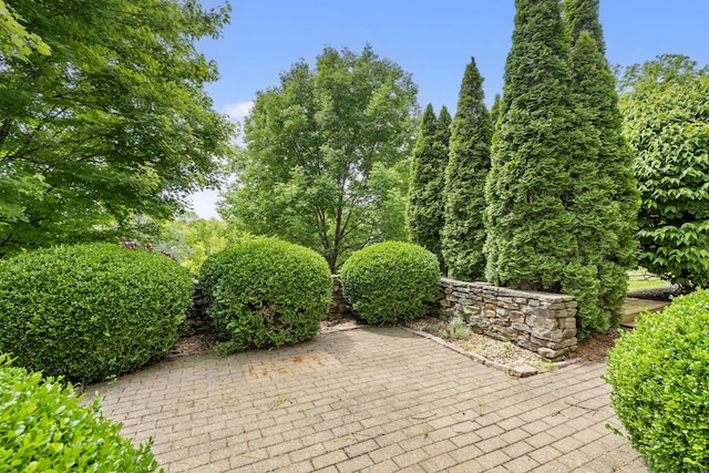 5575 S Castlebay Dr, Springfield, MO 65809 - view of patio / terrace