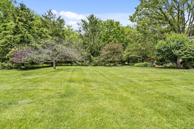 5575 S Castlebay Dr, Springfield, MO 65809 - view of green lawn