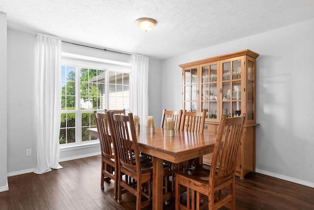 181 Rosewood Ln, Branson, MO 65616 - dining space featuring plenty of natural light, a textured ceiling, dark wood-type flooring, and baseboards