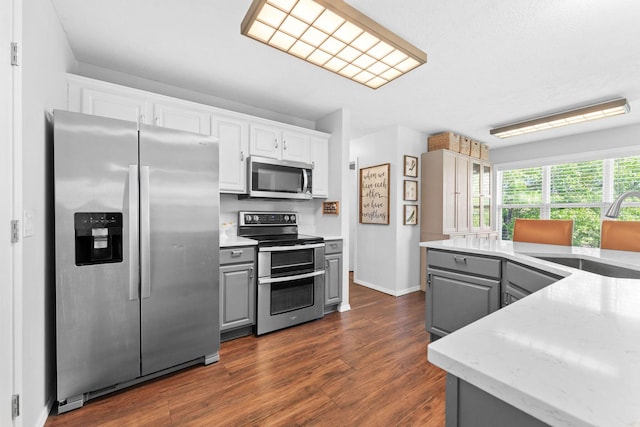 181 Rosewood Ln, Branson, MO 65616 - kitchen featuring stainless steel appliances, gray cabinetry, a sink, and dark wood-type flooring