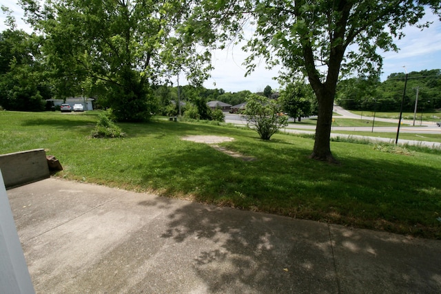 360 Banning St, Marshfield, MO 65706 - view of grassy yard